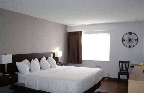 Ontario House | Peaceful Retreat! Indoor Pool, Pets Allowed, Free Parking, Free Breakfast