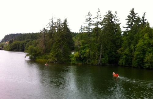 Longbranch Cabin | Peaceful Waterfront Cove Cabin with Canoe and SUPs, Perfect for Summer