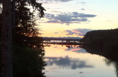 Longbranch Cabin | Peaceful Waterfront Cove Cabin with Canoe and SUPs, Perfect for Summer