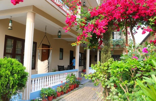 Sauraha Hotel | Discover Peacock: Family-Friendly Hotel with Great Amenities