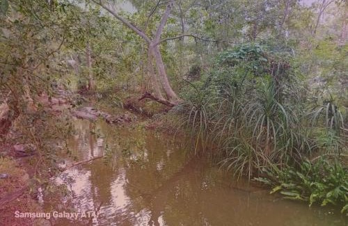 Sevanagala Cabin | Eco-Friendly Getaway at Peacock Riverside Lodge - 10/10 Rated