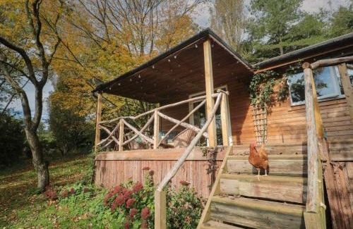 Langport House | Pet-Friendly Pear Tree Lodge: 4-Star Guest Rated Excellence