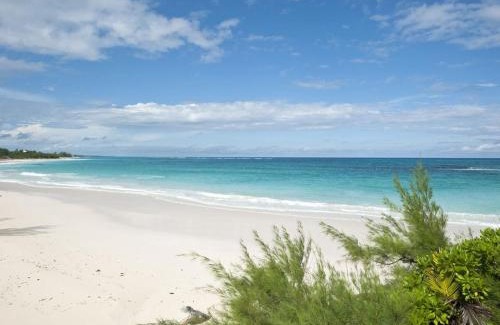 North Palmetto Point House | Discover Pebbles Cottage: Pet-Friendly Oceanfront Retreat