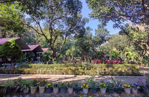 Sirala Resort | Discover Pebbles Resort: Pet-Friendly Getaway with Breakfast