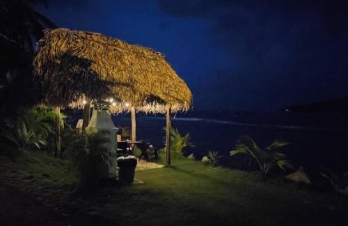 Eastern Panama Apartment | Discover Pebos Reef: Family and Pet-Friendly Retreat