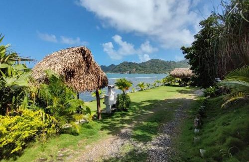Eastern Panama Apartment | Discover Pebos Reef: Family and Pet-Friendly Retreat
