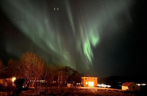 Vestvagøy House | Cozy PederStua: Classic Fisherman's Retreat in Lofoten