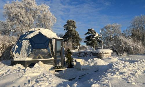 Soolu Hotel | Enjoy a Unique Stay in Glass Dome Near Haapsalu