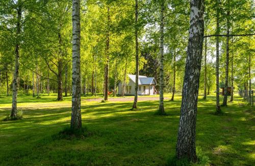Nina Other | Peipsi Caravani: Ideal Retreat with Ocean Views & Hot Tub