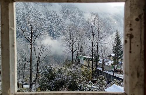 Lachen House | Top-Rated Pet-Friendly Pema Homestay in Lachen