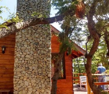 Moquehue Ski Chalet | Family-Friendly Stay at Pendientes de Moquehue, 10/10 Rated