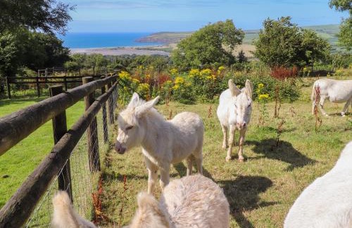 Newport House | Pet-Friendly Escape at Penfeidr Newydd - 4-Star Gem