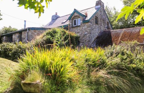 Newport House | Pet-Friendly Escape at Penfeidr Newydd - 4-Star Gem
