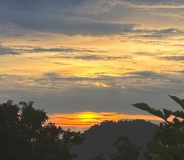 Cipanas Cabin | Penginapan Dari Nol Puncak