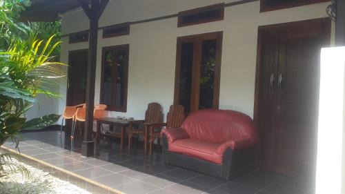 Krui House | Budget-Friendly Stay at Penginapan Sauqi for Families & Pets