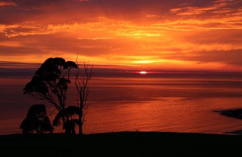 Central Coast Council House | Penguin Seaside Farm: 4-Star Family-Friendly Retreat