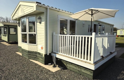 Newton Stewart Other | Penny