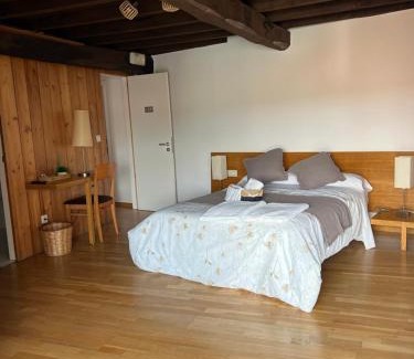 Allariz House | Discover Pet-Friendly Comfort at Pensión Rural Pallabarro