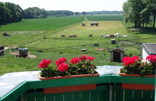 Gottesgrun Apartment | Cozy Pension Gottesgrün: Guest Rated 9/10 with Breakfast
