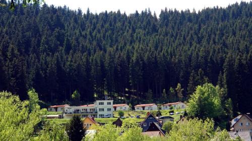 Manebach House | Pet-Friendly Pension Am Waldesrand with Oceanfront Views