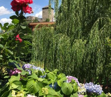 Vollan Hotel | Cozy Pension an der Mayenburg: Pet Friendly & Family Fun
