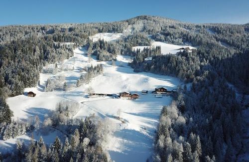 Pichl-Preunegg House | Top-Rated Pension Bergbauernhof Irxner with Hot Tub Access