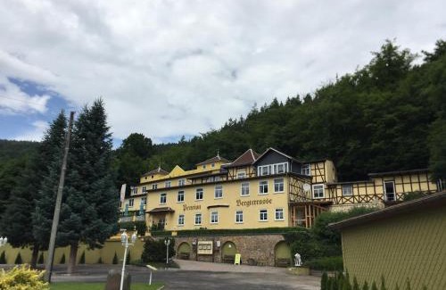 Sitzendorf House | Pet-Friendly Pension Bergterrasse: Family Awaits You!