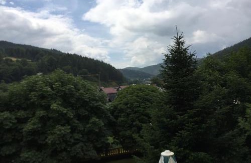 Sitzendorf House | Pet-Friendly Pension Bergterrasse: Family Awaits You!