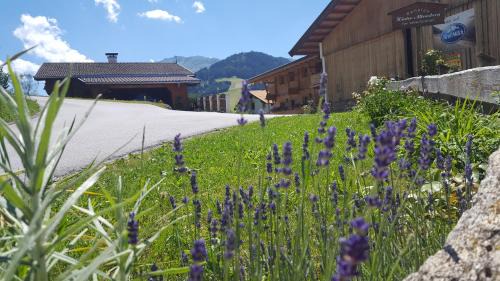 Wildschoenau House | Oceanfront Escape at Pension Biobauernhof Hinteraltensberg