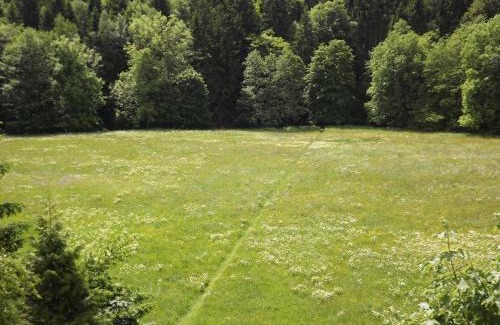 Elend House | Pension Bodetal: Family-Friendly Retreat with Pet Amenities