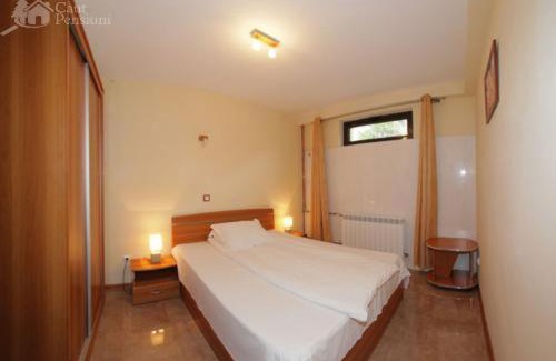 Baile Herculane House | Cozy Pension Camelia: Child-Friendly with Hot Tub Access