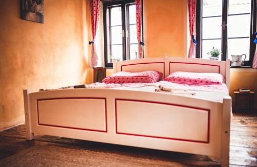 Cesky Krumlov House | Pet-Friendly Pension Cert a Kaca with High Guest Ratings