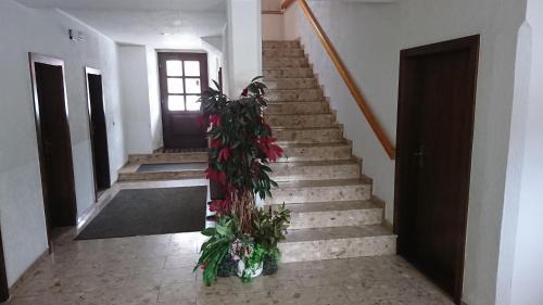 Großhartmannsdorf House | Budget-Friendly Pension Erbgericht: Pet & Child Friendly Stay