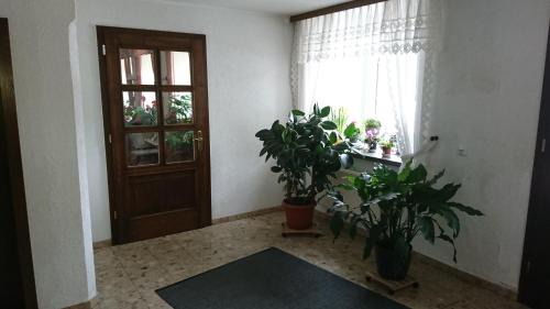 Großhartmannsdorf House | Budget-Friendly Pension Erbgericht: Pet & Child Friendly Stay