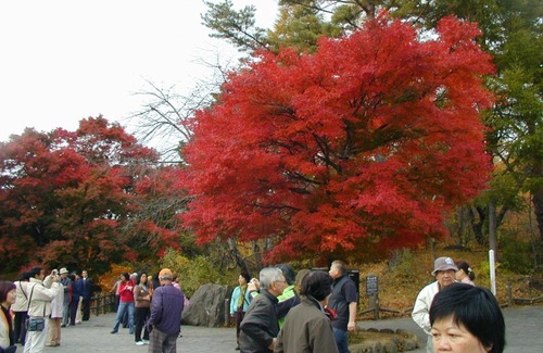 Kitashiobara House | Pet-Friendly Retreat at Pension Hana Kirin - Your Home Away