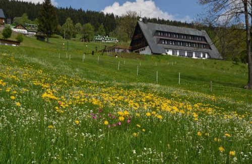 Spindleruv Mlyn House | Enjoy Comfort at Pension Krakonoš - 8.7/10 Rated Stays