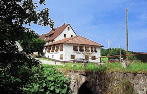 Lenzkirch House | Discover Pension Löffelschmiede: Pet-Friendly Retreat