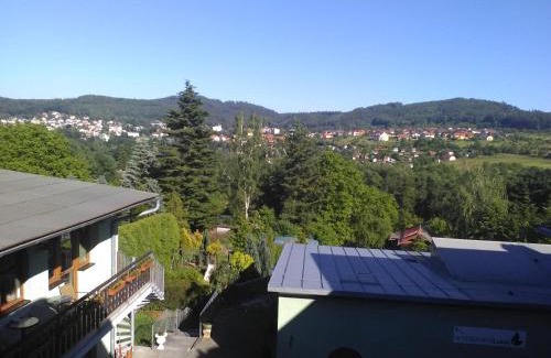 Karlovy Vary Hotel | Pet-Friendly Pension Lukas with Breakfast and Hot Tub