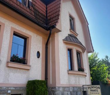 Cesky Krumlov House | Guest Favorite: Pension Maate with Family-Friendly Amenities