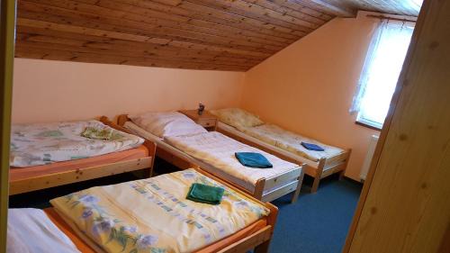 Vlcice House | Pet-Friendly Pension Pod Hrádečkem with Breakfast & Kitchen