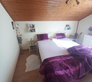Kapfenberg Bed & Breakfast | Pet-Friendly Pension Prem with Oceanfront Dining Options