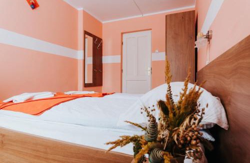 Borsec Bed & Breakfast | Guest Rated 9/10: Pension Rose-Trandafirul for Families