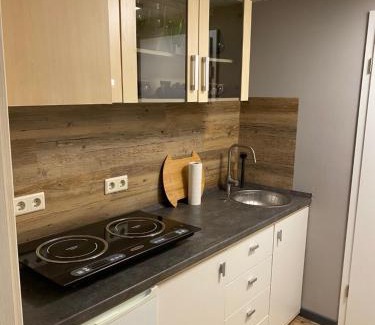 Teterow Apartment | Pet-Friendly Pension Sandfeld: Family and Breakfast Included