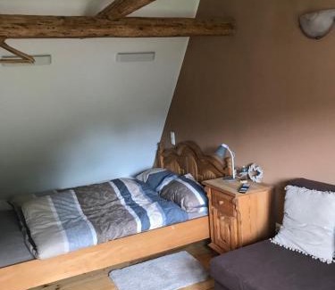 Reichenbach im Vogtland House | Pet-Friendly Pension Schneidenbach with Oceanfront Views