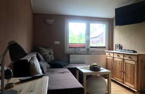 Reichenbach im Vogtland House | Pet-Friendly Pension Schneidenbach with Oceanfront Views