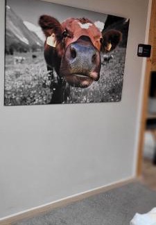Munchen District House | Discover Pension Schlafstuhl: Family-Friendly Retreat