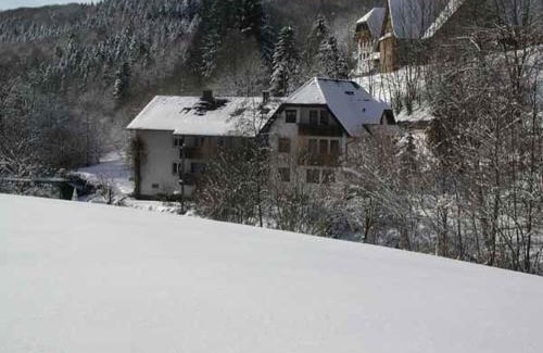 Freiamt House | Pet-Friendly Pension Schneider: Guest Rated 9/10