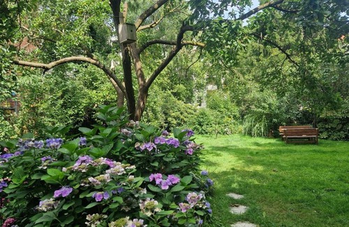 Dessau-Rosslau House | Family-Friendly Stay at Pension Siewert - Rated 8/10