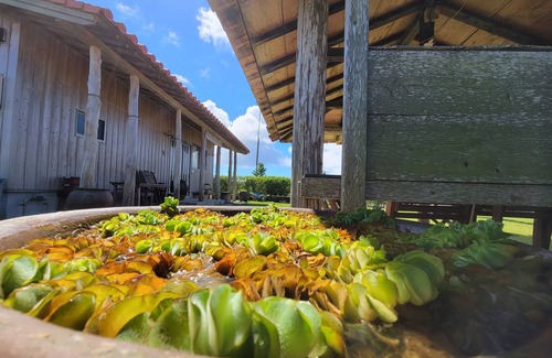 Ginoza House | Cozy Pension Snadun: Ocean View & Family-Friendly Retreat