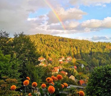 Bad Grund House | Pet-Friendly Pension Talblick: Oceanfront Retreat with Hot Tub